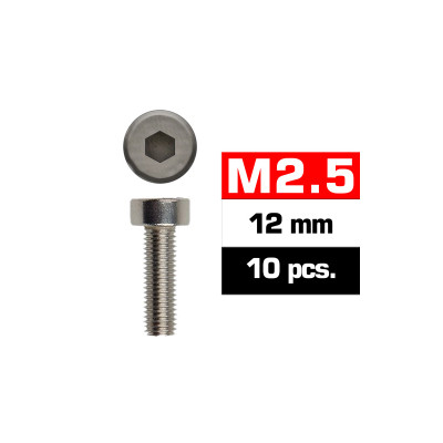 Ultimate Racing M2.5X12MM Cap Head Screws (10 PCS)